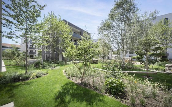 Wohnquartier Grüne Mitte Brühl - Neubau von Eigentumswohnungen, Doppelhaushälften und einem Einfamilienhaus