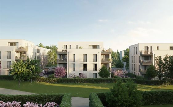 Selma - Neubau von 36 Eigentumswohnungen