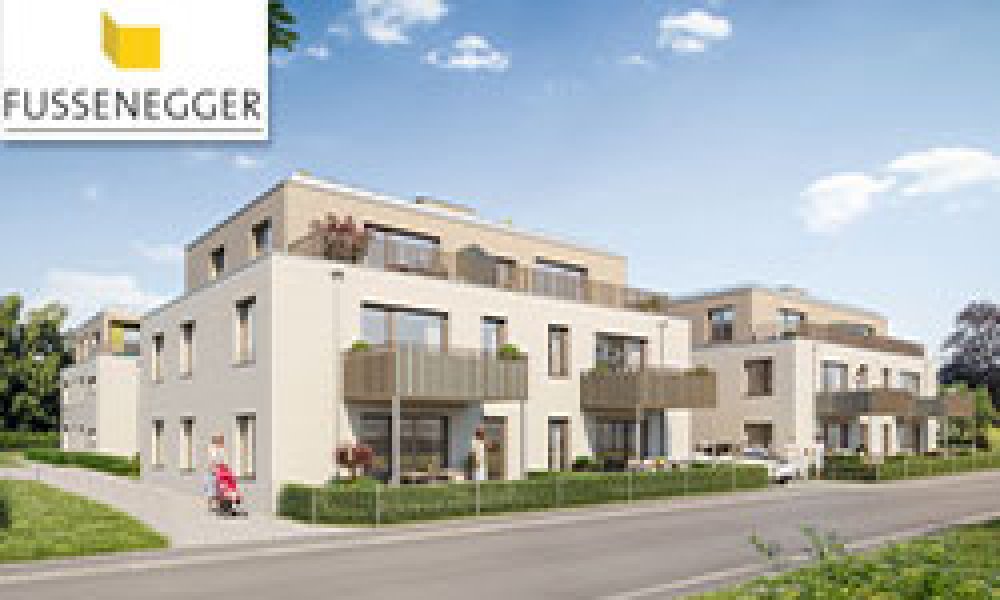 Bauprojekte meitingen