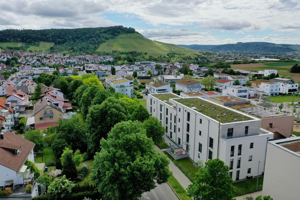 Bild Neubauprojekt Korber Viertele