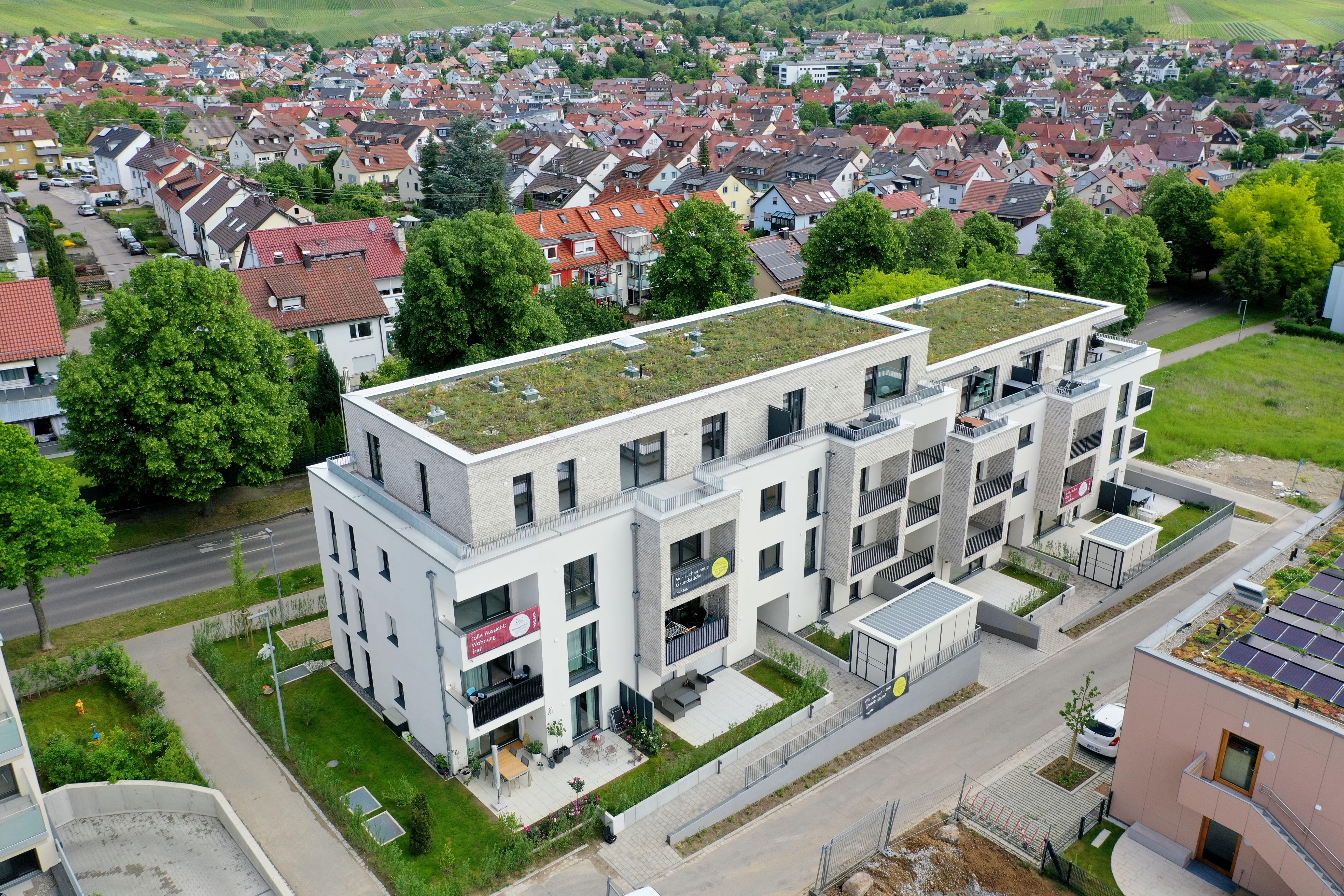 Korber Viertele - Korb (Württemberg)