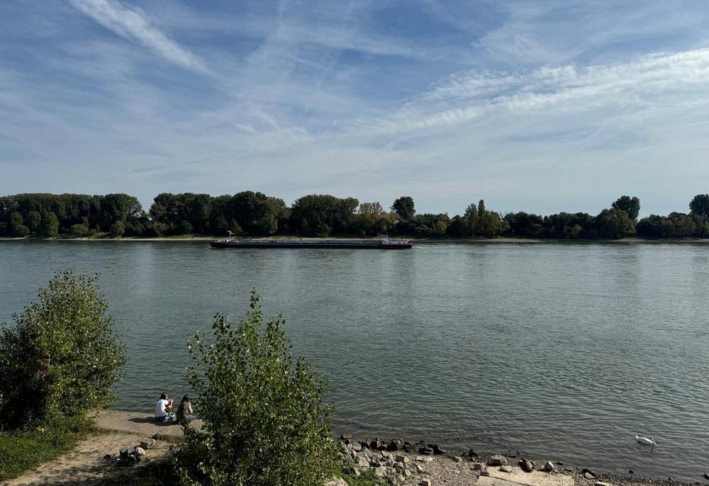 Bild Neubau TWINS 675, Köln