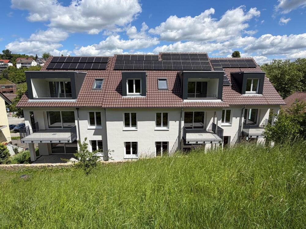 Bild Gartenseite eines Mehrfamilienhauses mit Balkonen und Terrassen