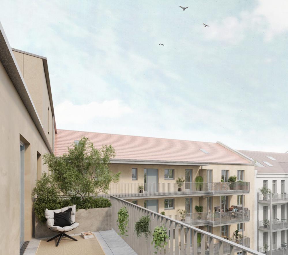 Bild Neubau Eigentumswohnungen Domizil Julius-Krause-Straße