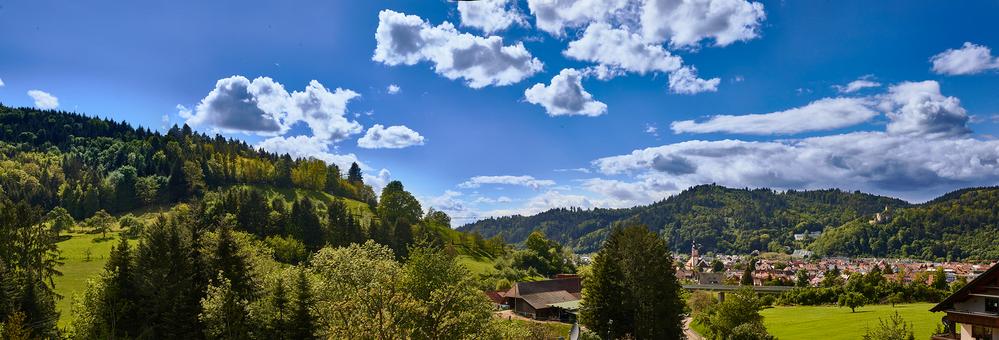 Bild Neubau Eigentumswohnungen Wisserswandstraße Waldkirch: Blick auf das Baugrundstück