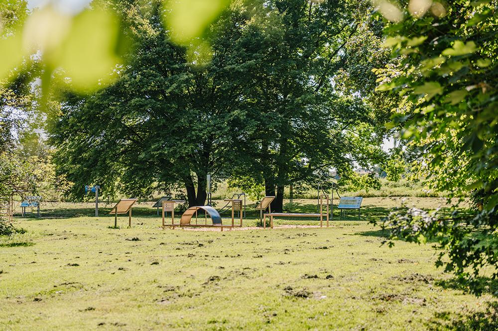 Bild Neubau Häuser Parrotstraße München