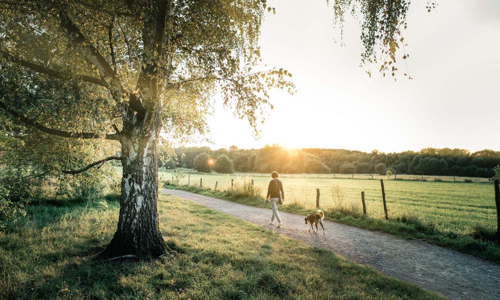 Bild Neubau Eigentumswohnungen Eigener Feldblick, Bottrop