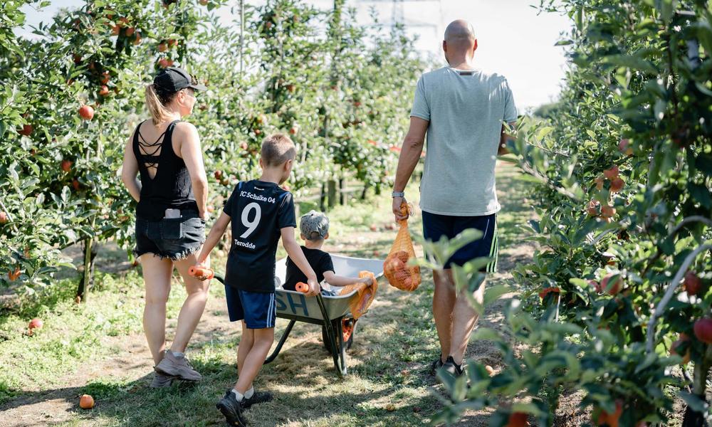 Bild Neubau Eigentumswohnungen Eigener Feldblick, Bottrop