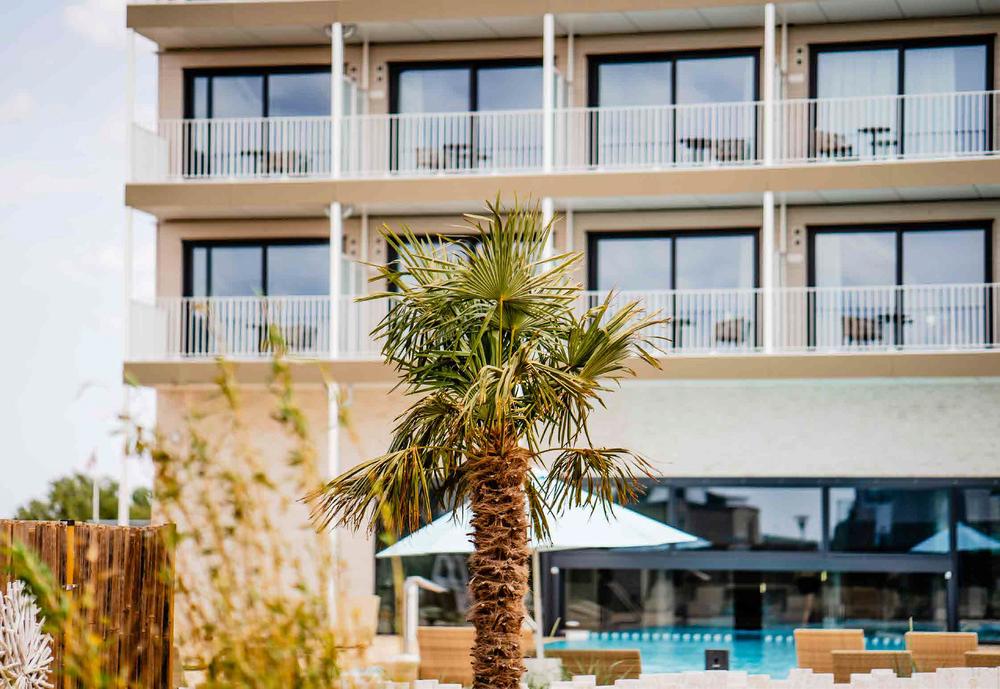 Bild Neubau Ferienapartments Marina Wendtorf Kiel: Fassade eines modernen Hotels mit Palme