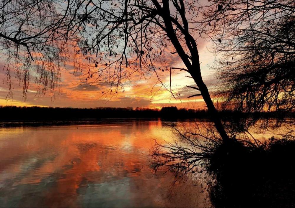 Bild Neubauprojekt Am Strasserfeld 11-11a, Düsseldorf