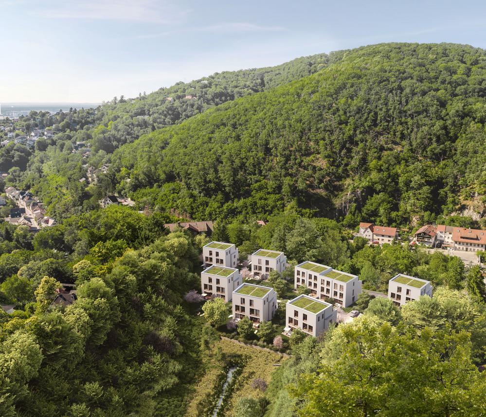 Bild Neubau Doppelhäuser und Reihenhäuser, Viverde Schriesheim: Vogelperspektive einer kleinen Neubausiedlung mitten im Grünen