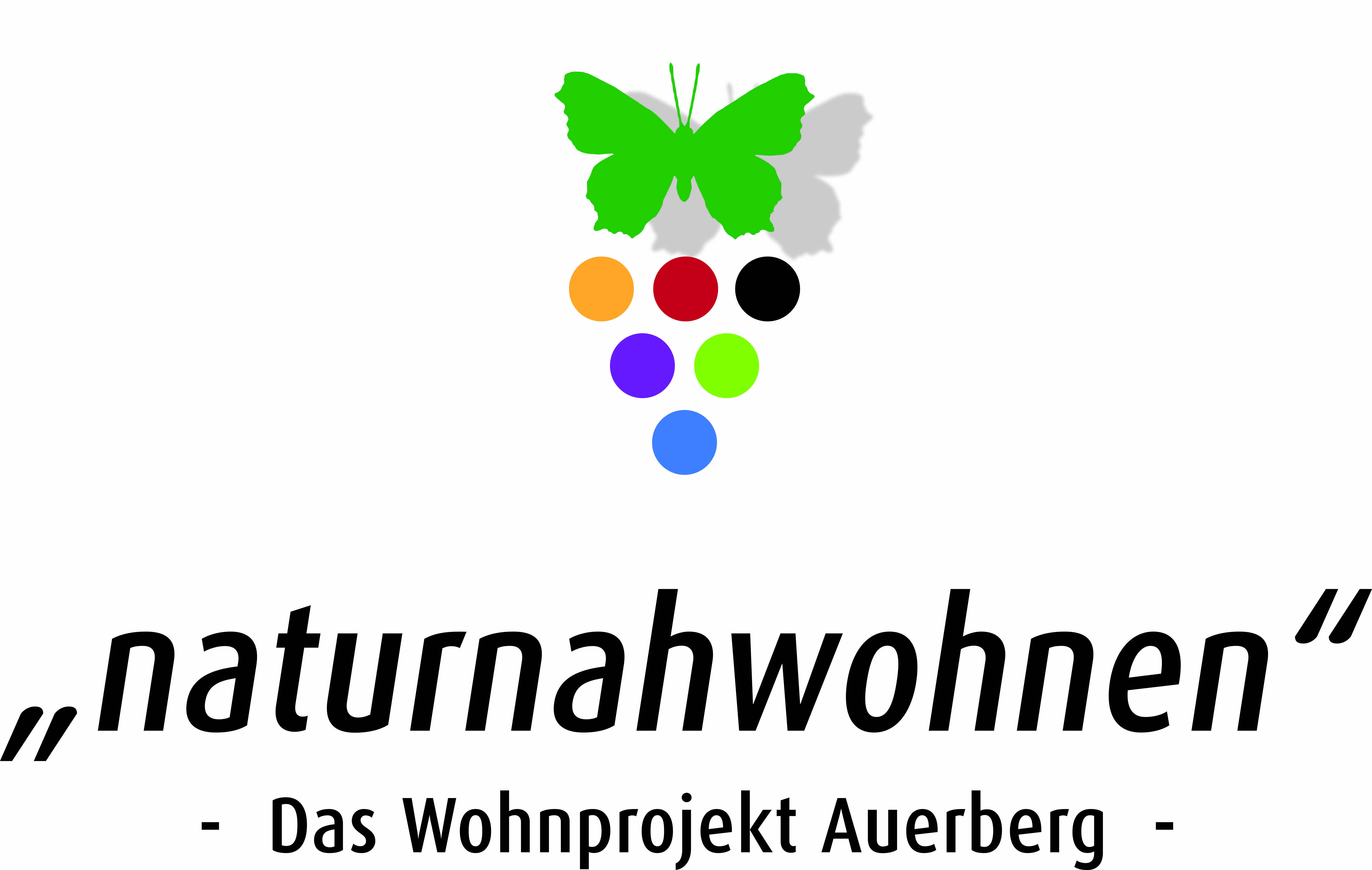 Bild Neubauprojekt Auerberg Nordheim