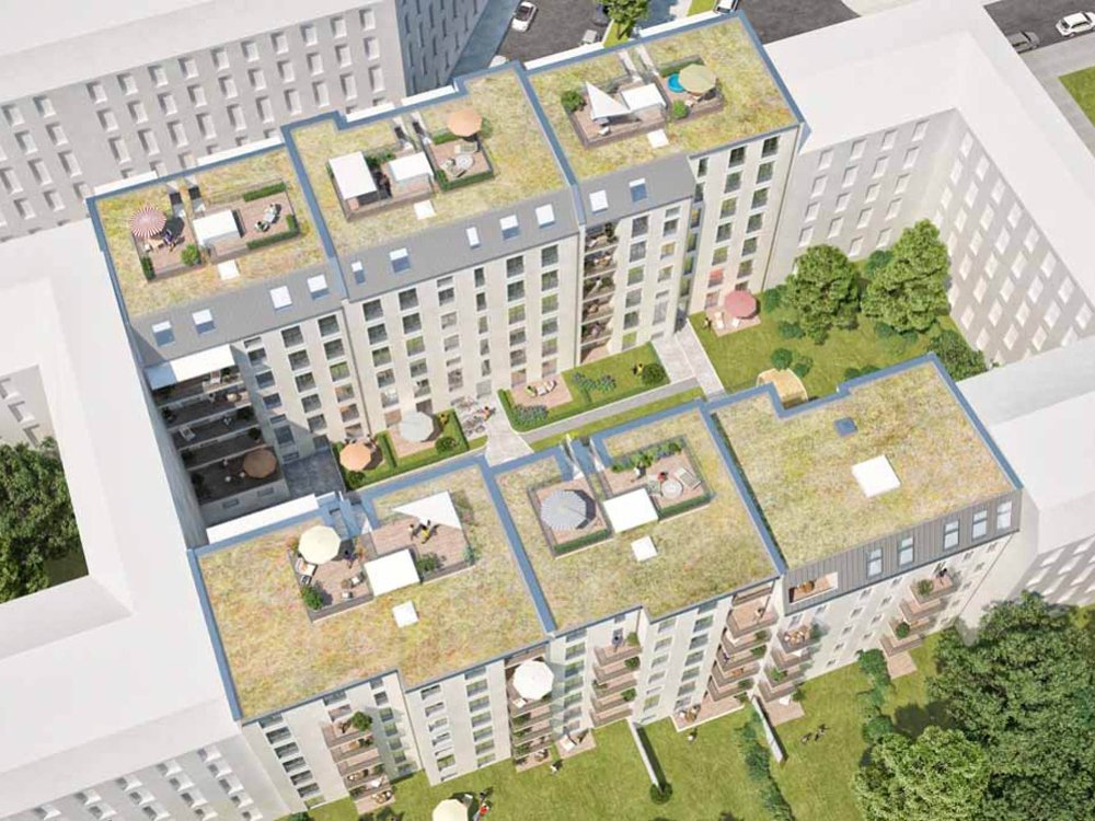 Bilder zum Neubau AXIS