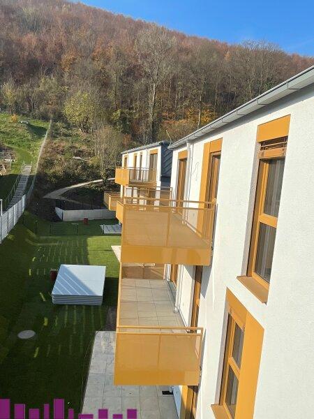 PUR WOHNEN in Purkersdorf - Wohnung