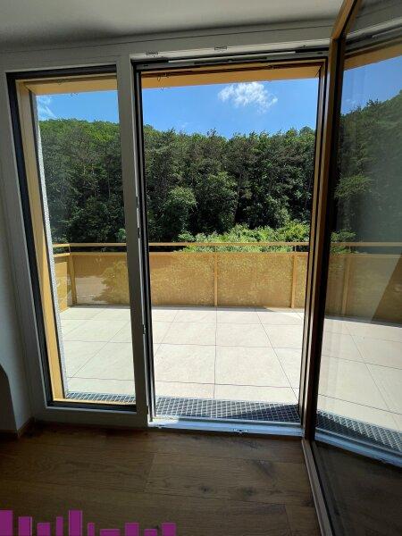 PUR WOHNEN in Purkersdorf - Wohnung