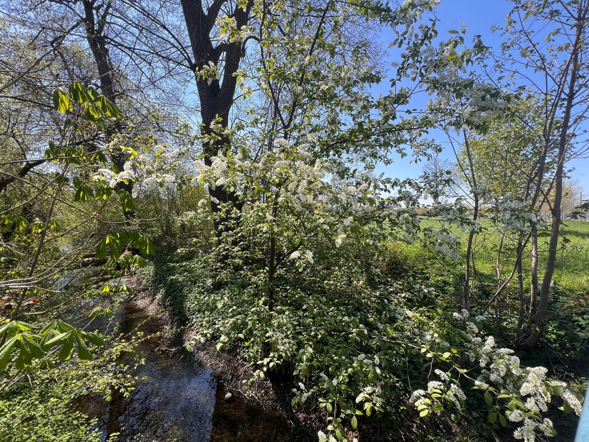 S130 L|I|V|I|N|G - Schneeglöckchenstraße 130