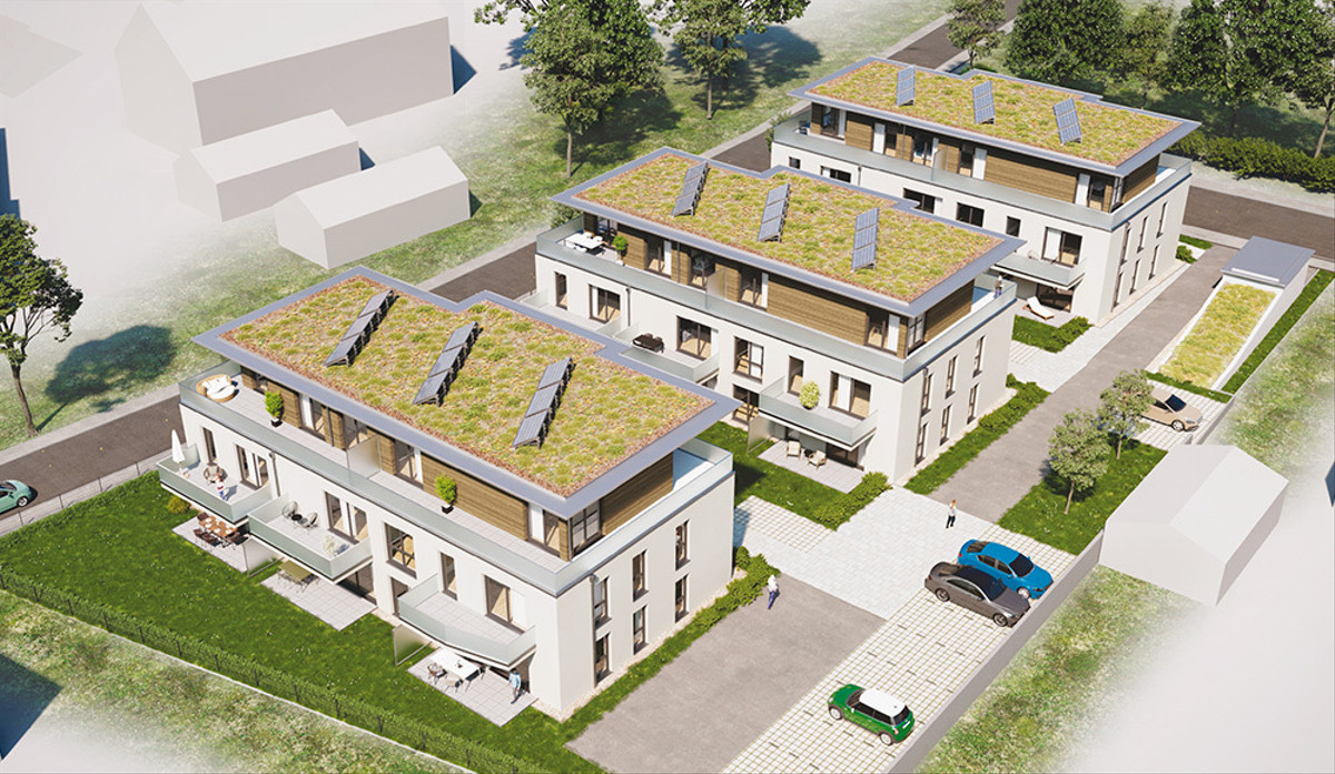 Max-Friesenegger-Straße