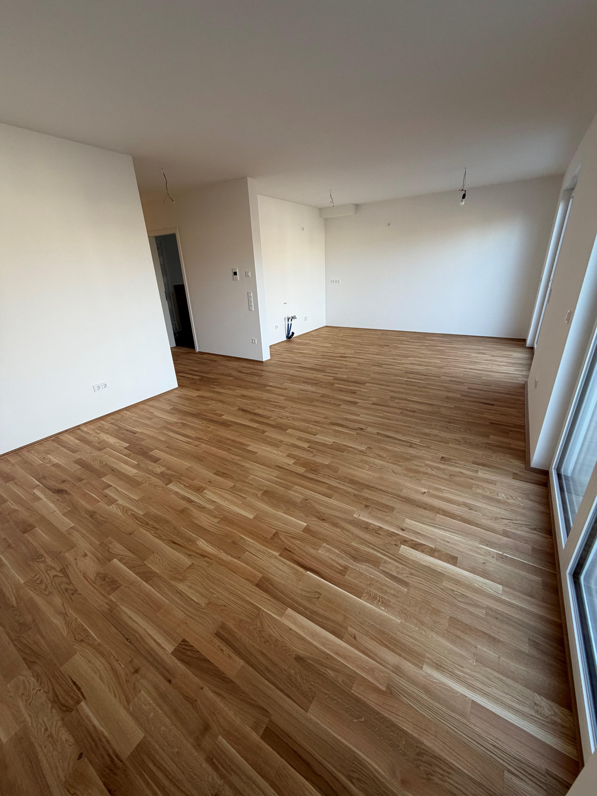 Wohnen an der Ringmauer