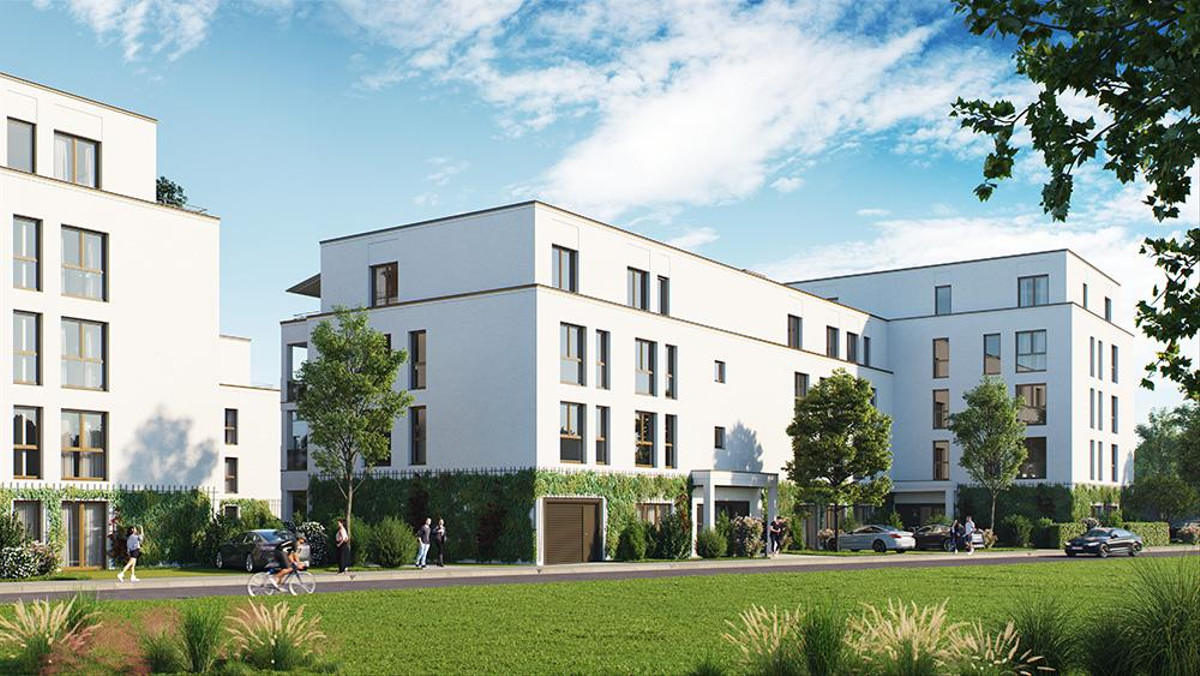 PANDION BASTIDE