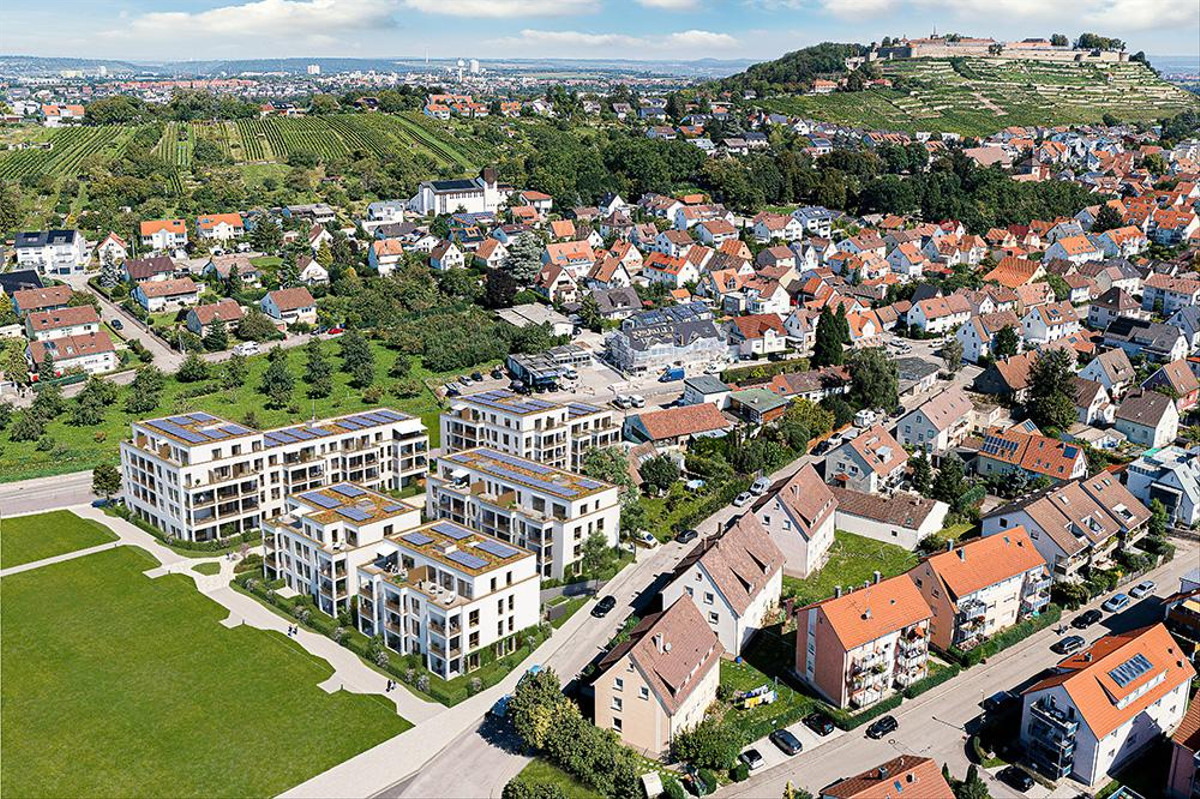 PANDION BASTIDE
