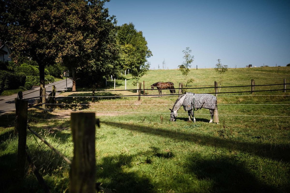 Mitten in der Natur Leben