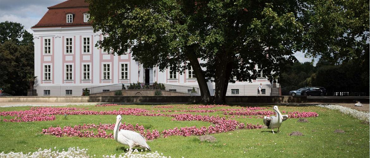 Gartenstadt Karlshorst Wohnungen