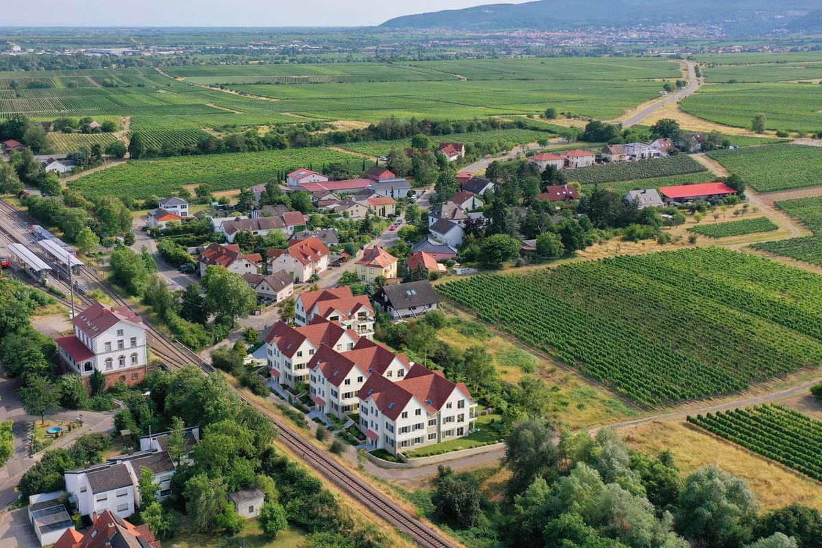 In den Winzergärten, Freinsheim