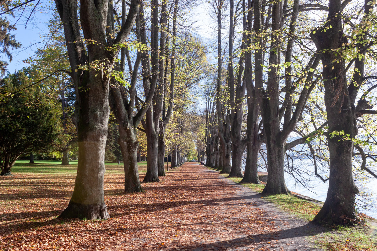 LINDAU LIVING