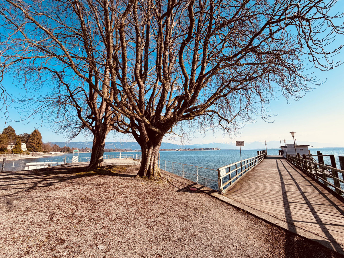 LINDAU LIVING