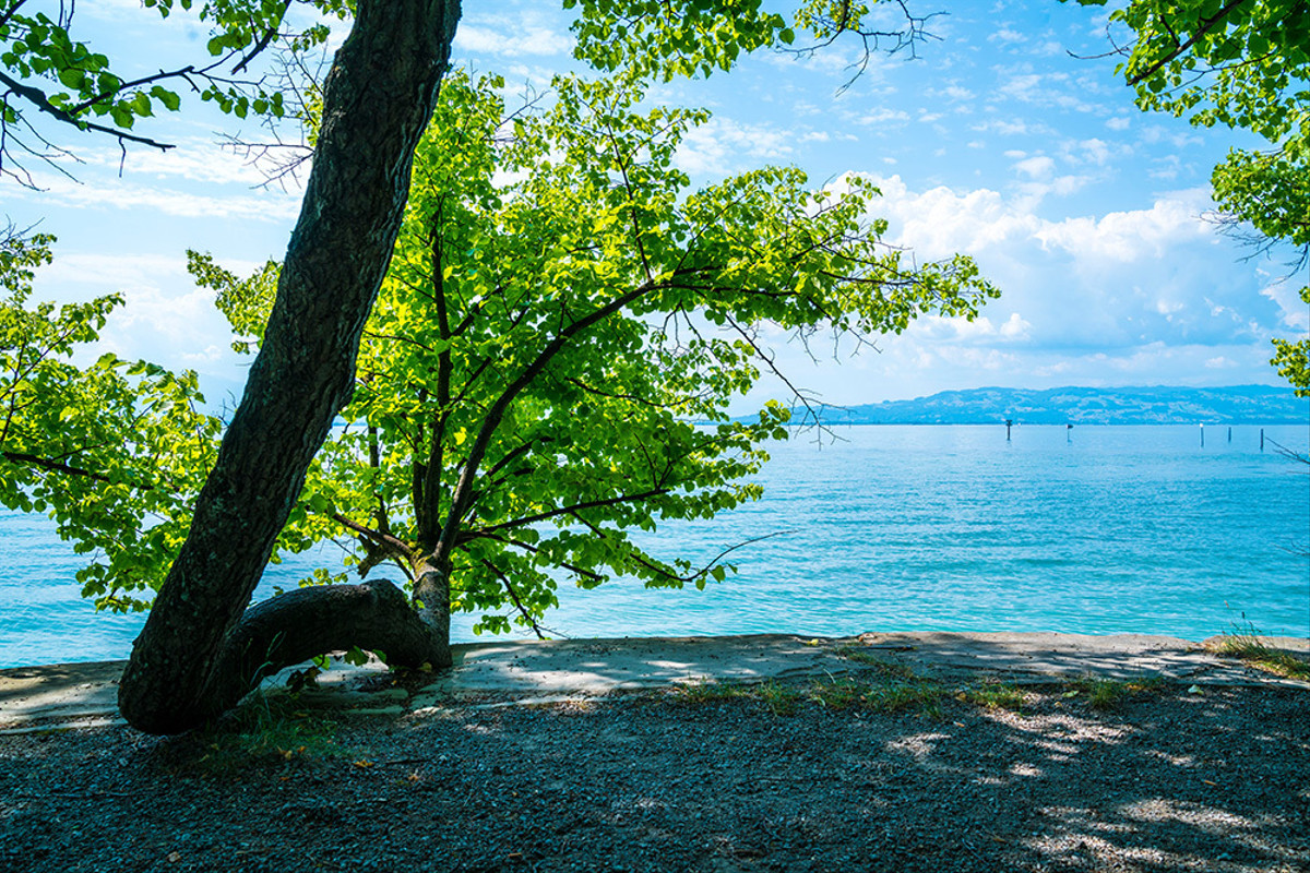 LINDAU LIVING