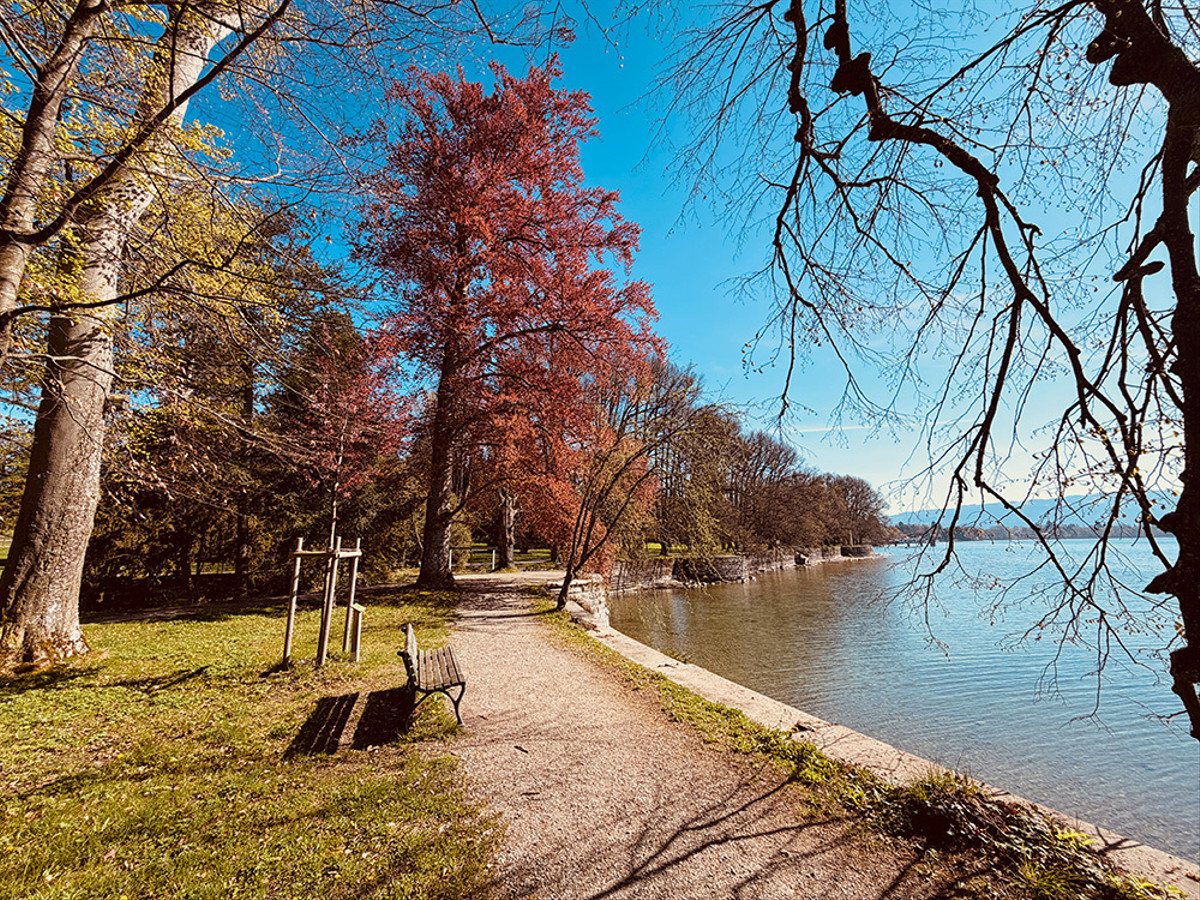 LINDAU LIVING