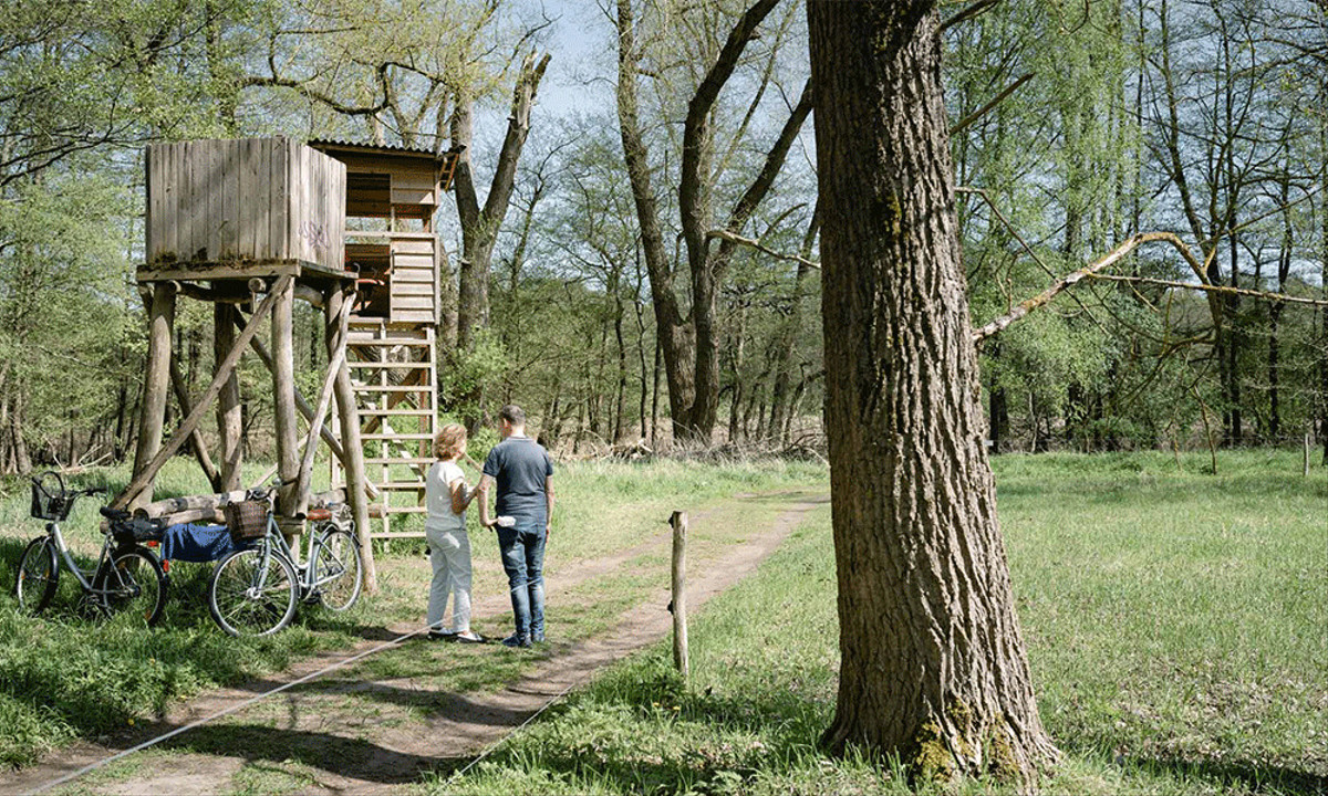 Erholung für alle Naturfans im Naturschutzgebiet Bogensee