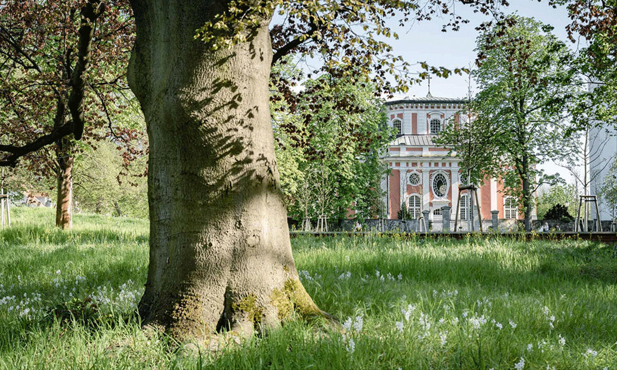 Nur ein kurzer Spaziergang führt Sie in die Idylle des Schlossparks Buch