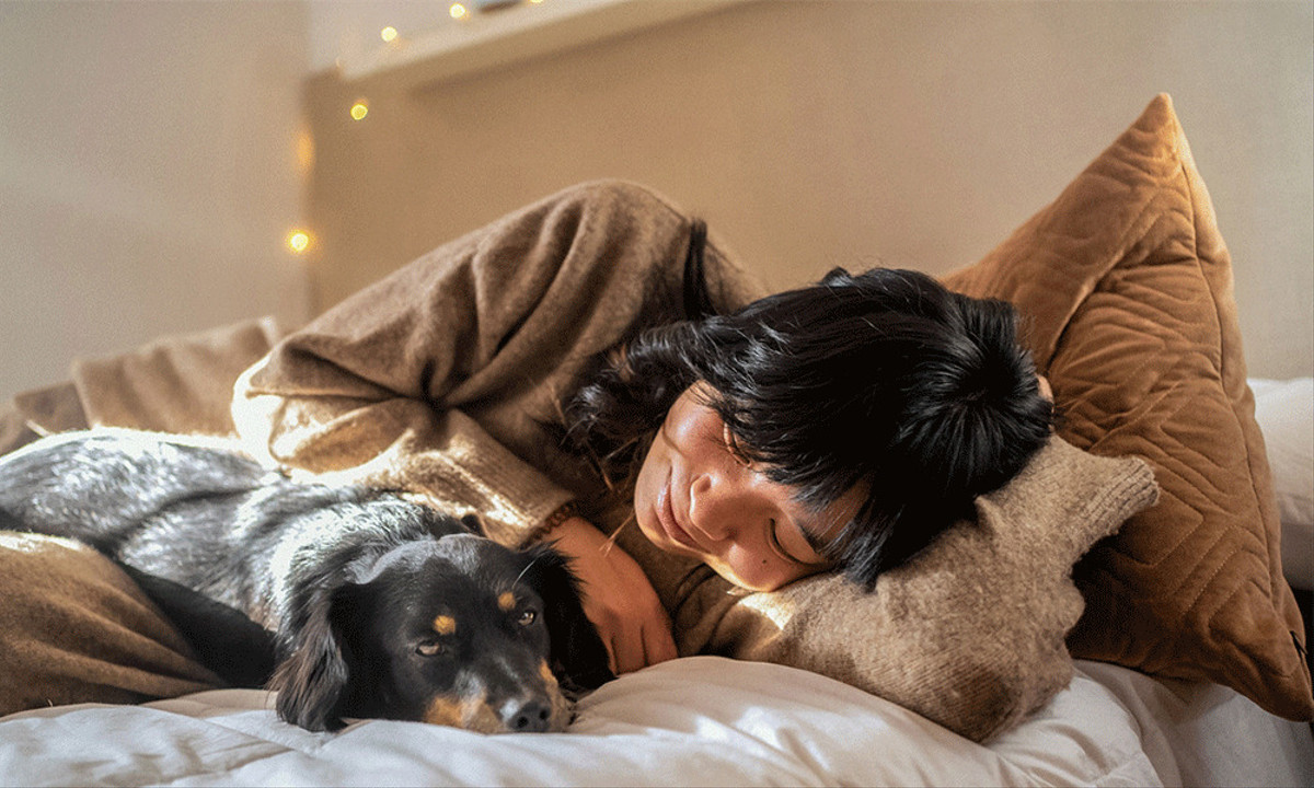 Wieviel Platz brauchen Sie Entscheiden Sie sich für vier oder fünf Zimmer