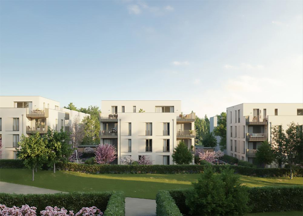 Selma - Neubau von 36 Eigentumswohnungen