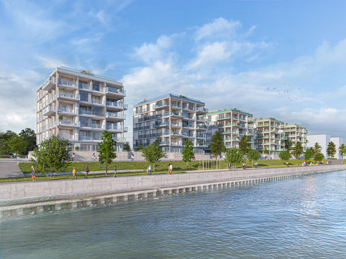 RHEINWIESEN living - Neubau von 78 Eigentumswohnungen