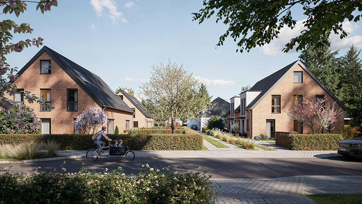 ILSE Hohensasel - Neubau von 6 Doppelhaushälften