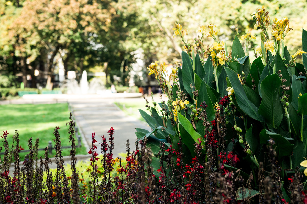 PHOENIX - Am Ludwigkirchlatz