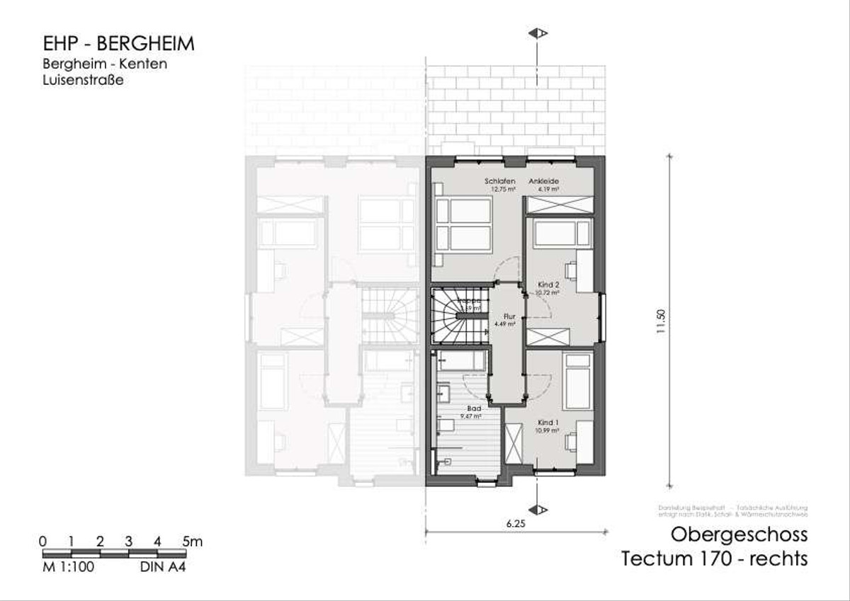 Tectum 170 - OG 