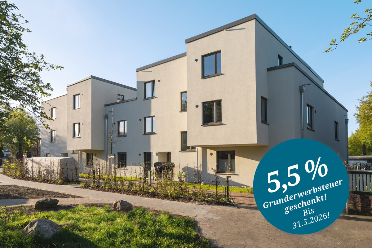 369 Stadtantilope - Störer