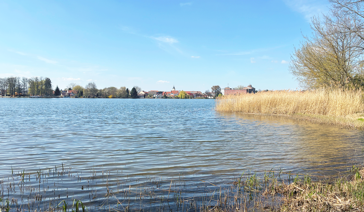 Seeblick im Seequartier