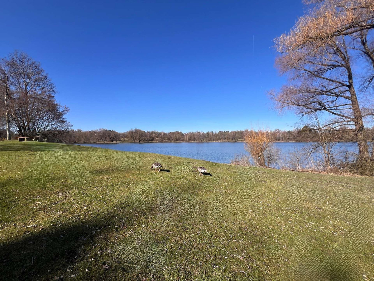 Feldmochinger See (10 Radminuten entfernt)