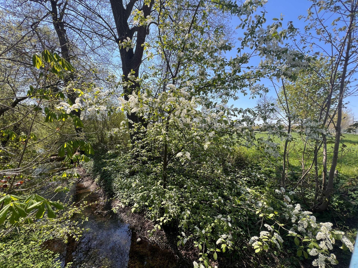 direkt am Reigersbach