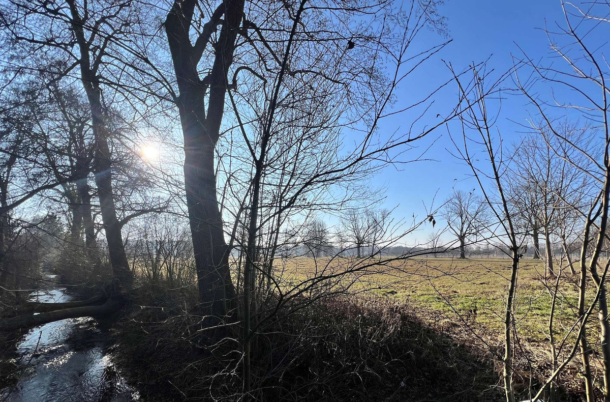 direkt am Reigersbach / Blütenanger