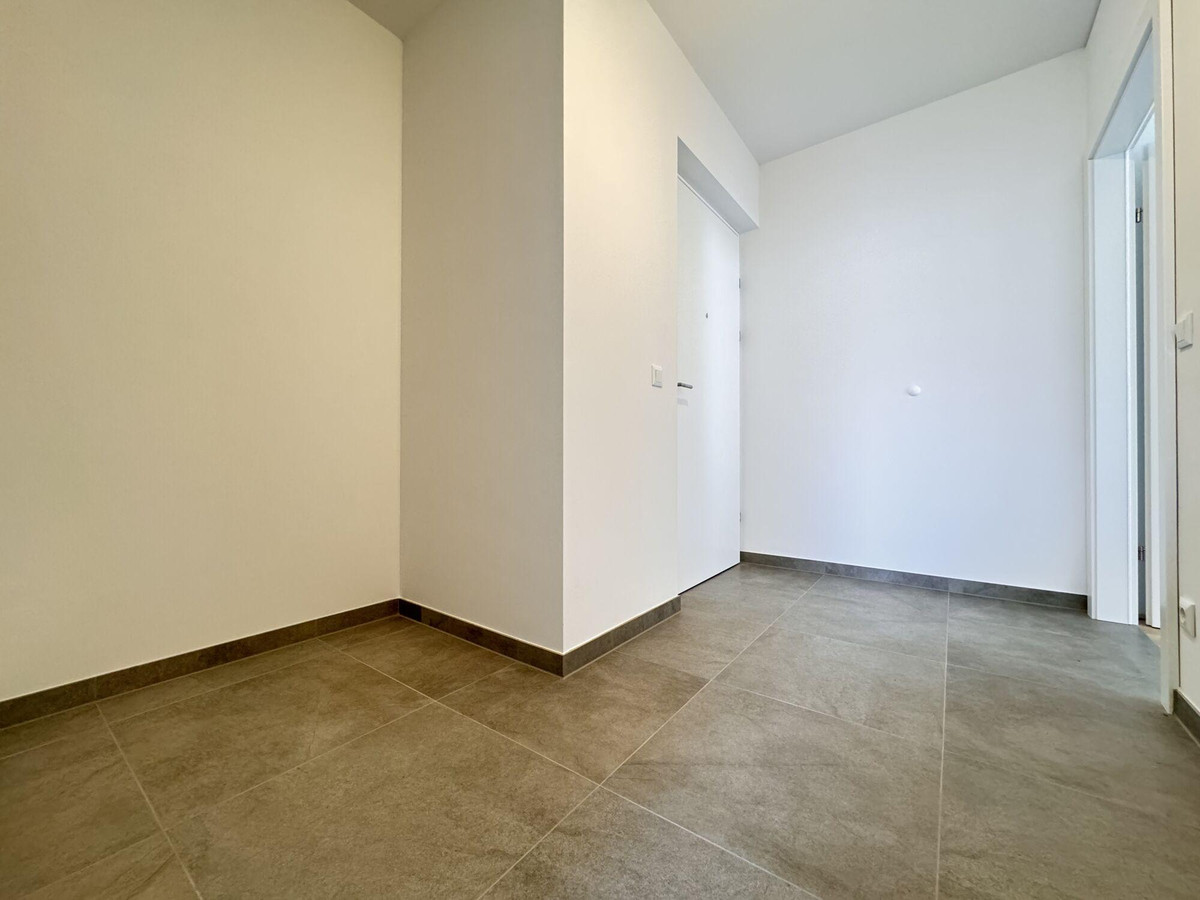 Foto 07.02.24, 11 54 44