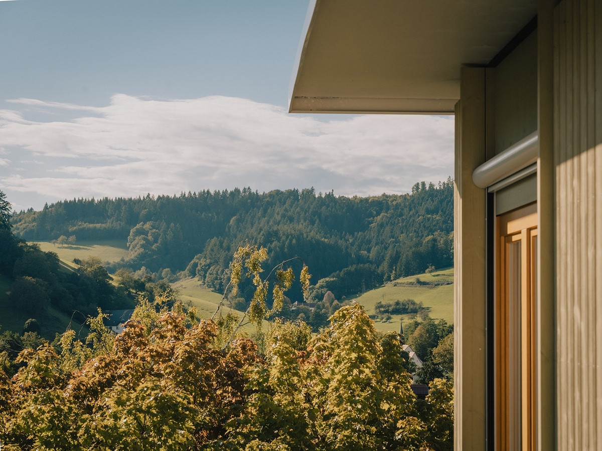 Beispielhafter Weitblick