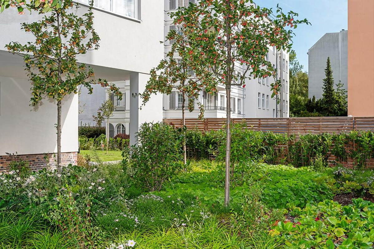 Übergang Gartenhaus