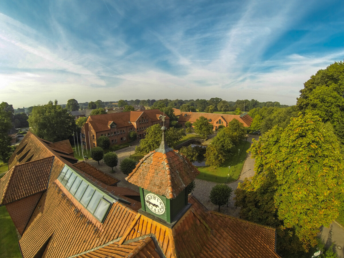 Umfeld (Fotos: Ulrich Wirrwa)