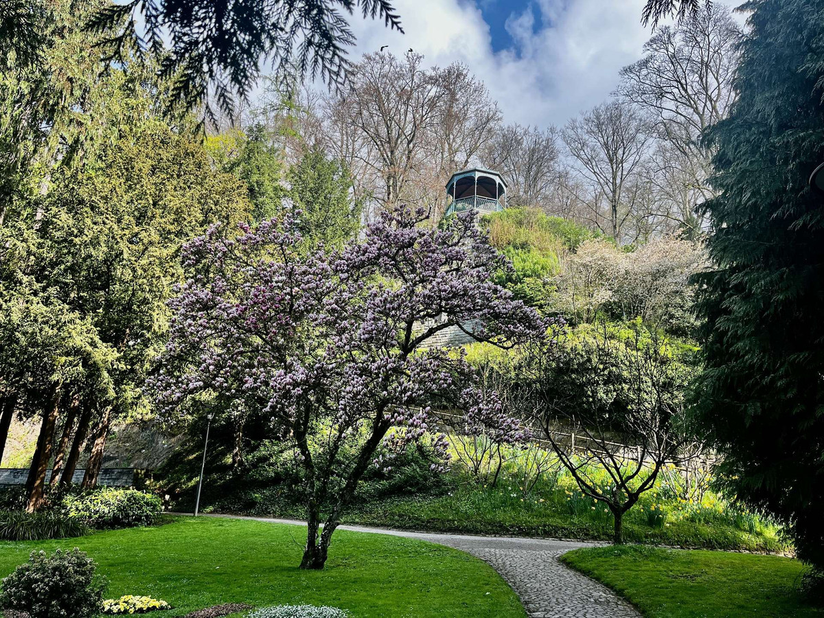 ein schöner Weg direkt in die Stadt...