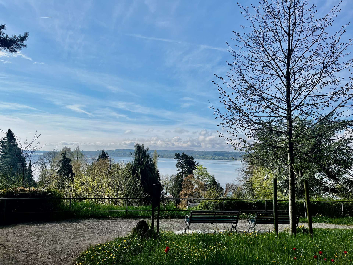 vom Stadtgarten entfernt...